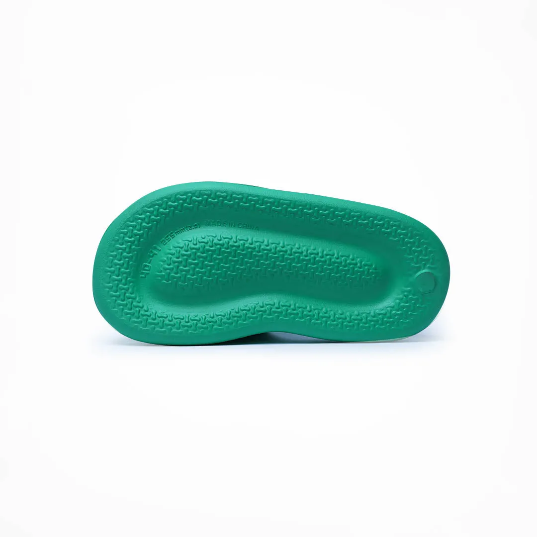 Birdsoles -  Nocturnal Nest Slides - Green