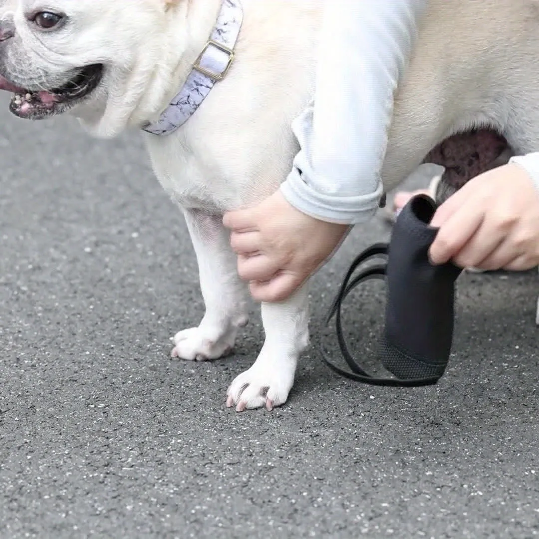 Frenchie Paw Protection Booties – Pack of Four Adjustable Waterproof Dog Shoes