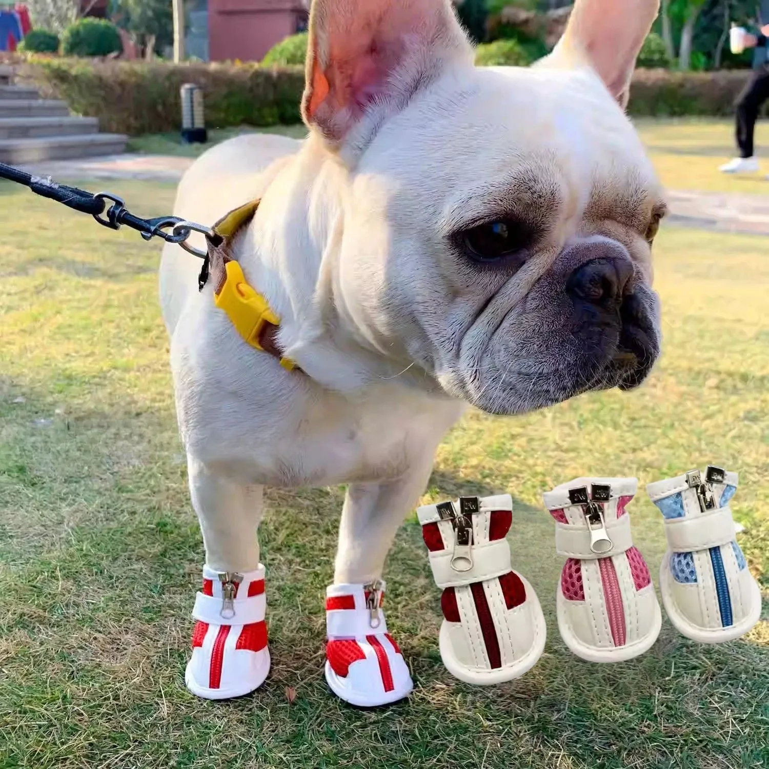 Pawrence Breathable French Bulldog Booties with Magic Tape Straps