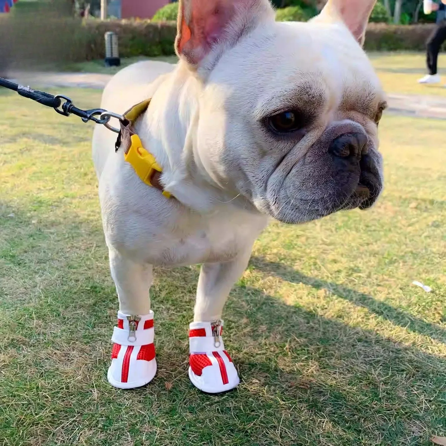 Pawrence Breathable French Bulldog Booties with Magic Tape Straps