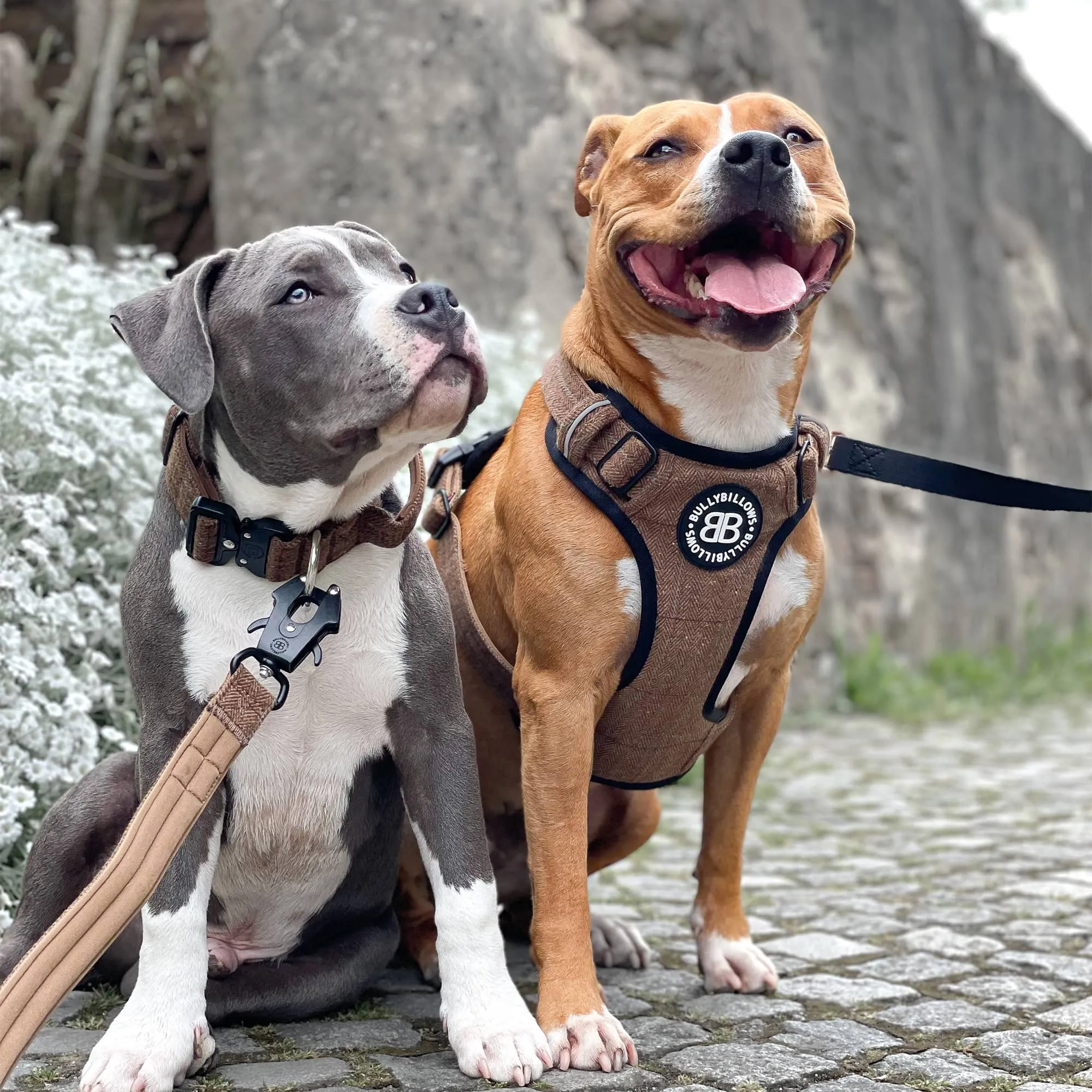 Premium Comfort Herringbone Harness | Non Restrictive - Classic Tan