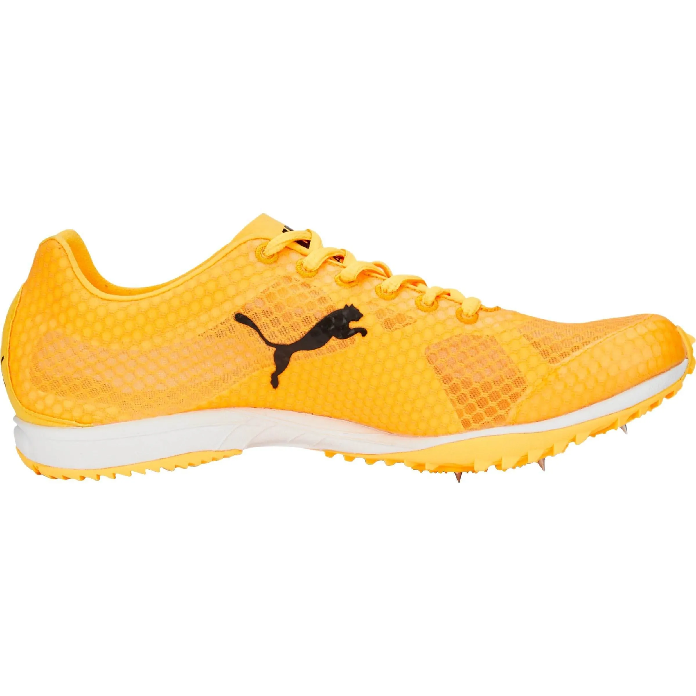 Puma evoSpeed Haraka 7 Cross Country Spikes - Orange