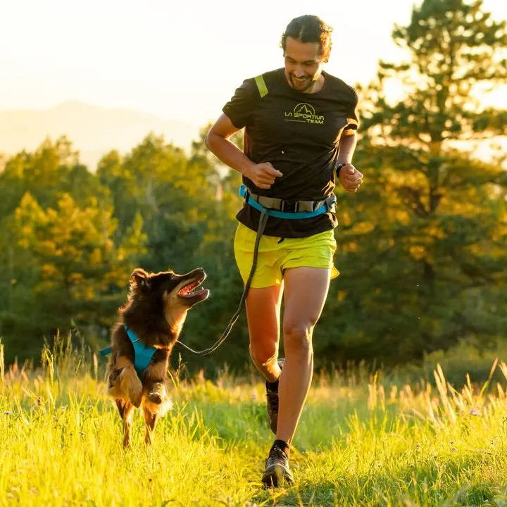 Ruffwear Ridgeline Lightweight Bungee Dog Leash