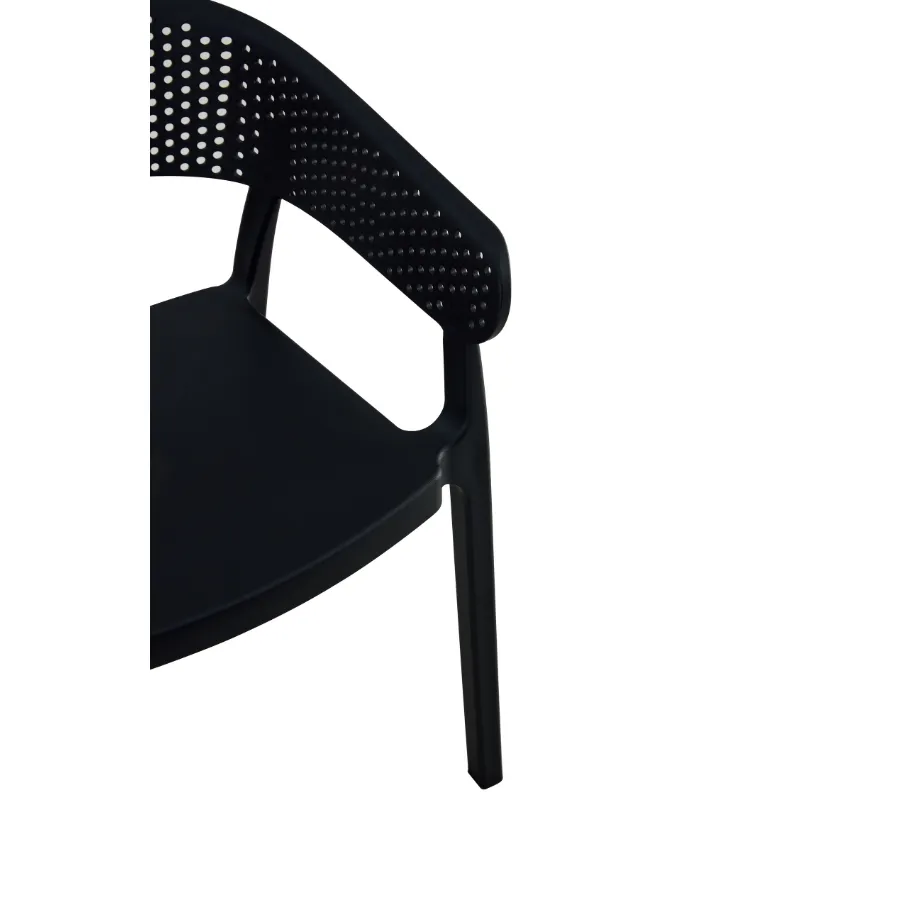 Santacruz Black Outdoor Chair