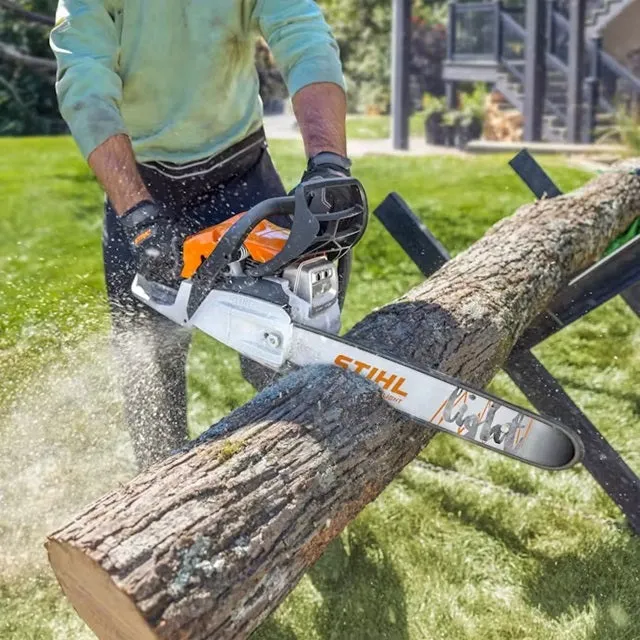 STIHL MS 162 16 in. 30.1 cc Gas Chainsaw