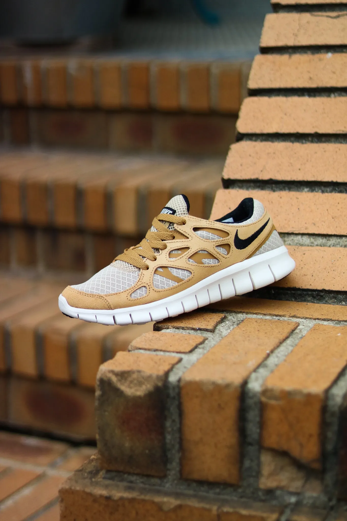 W NIKE FREE RUN 2 "WHEAT/WINE"