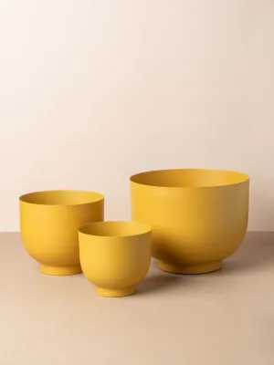 Yaamur Planter Collection - Saffron